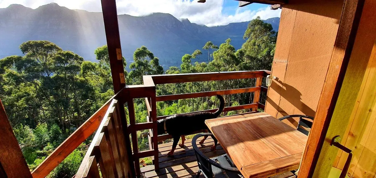 Cabin In Da Woods Le Cap